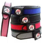 daa-premium-belt