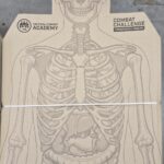 PATIP IDPA SKELETON for police and Army