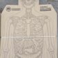 PATIP IDPA SKELETON for police and Army